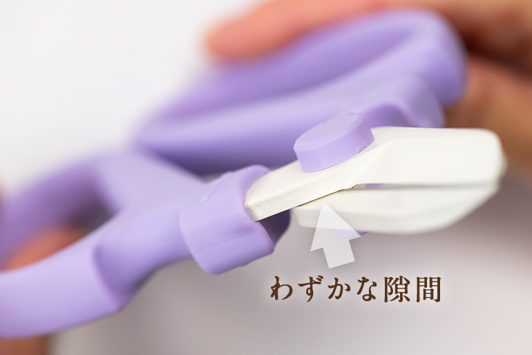 生花・園芸用ハサミ「ハンドクリエーション(白刃)」 – 坂源