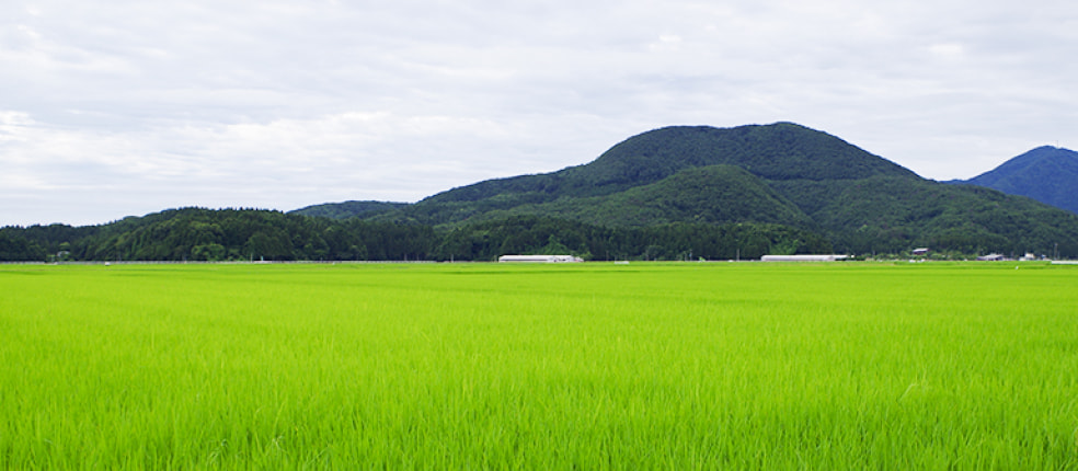 早川農興