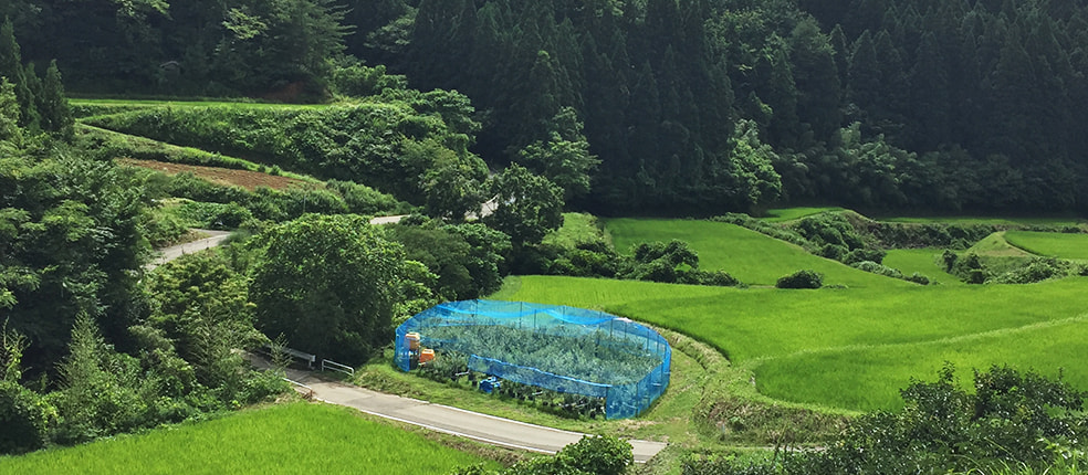 平山農園