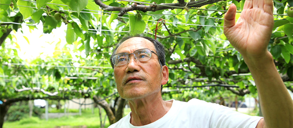 池田観光果樹園