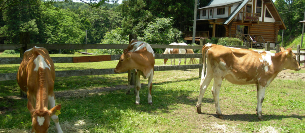 加勢牧場