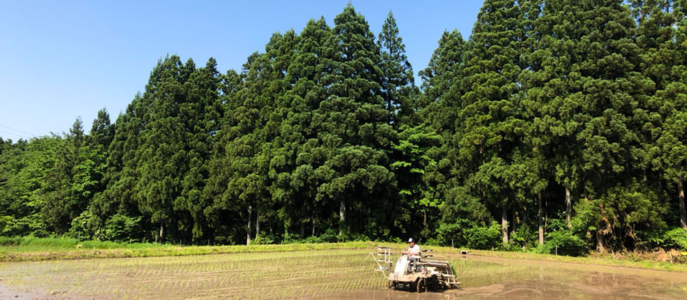 未来ファーム板山