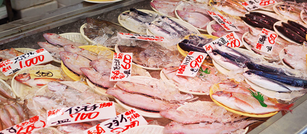 日本海鮮魚センター