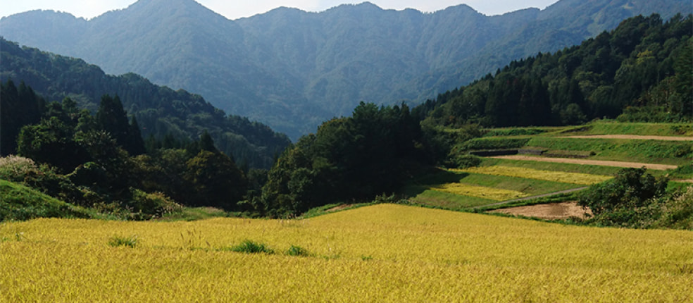 株式会社貝沼農場