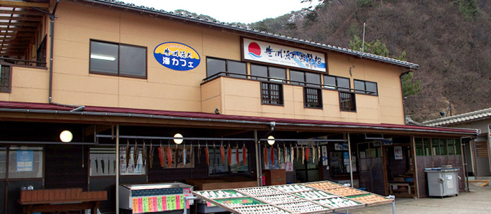 笹川流れ地魚処 天ぴ屋