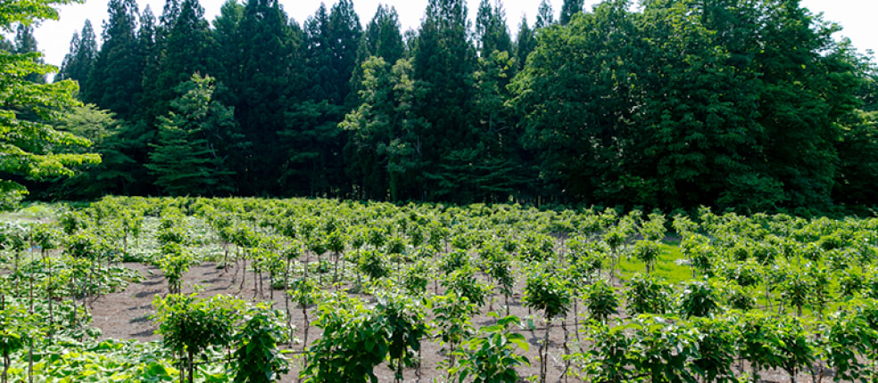 株式会社 藍匠