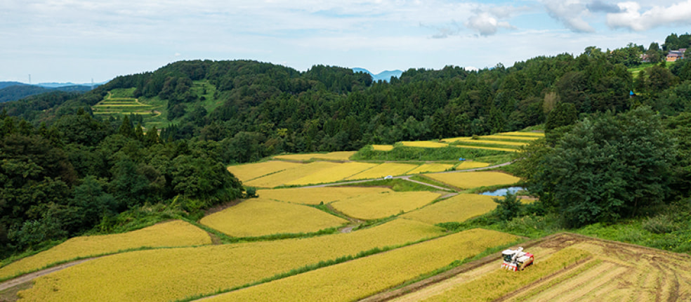 農家民宿どぶろく荘