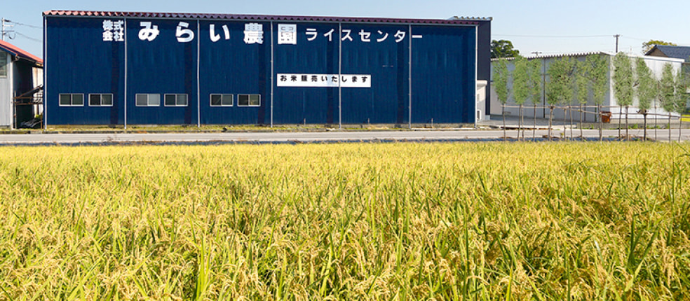 株式会社みらい農園