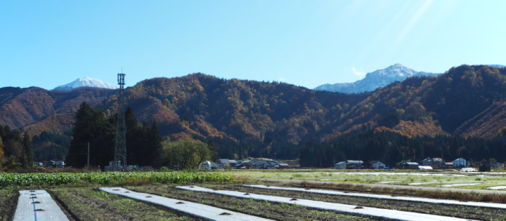 和田農場