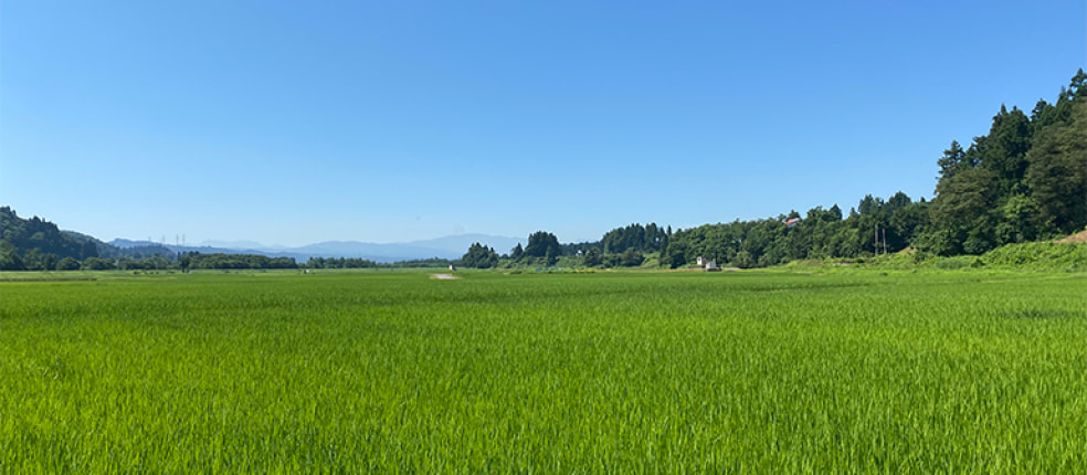 藤右衛門 塚田農園
