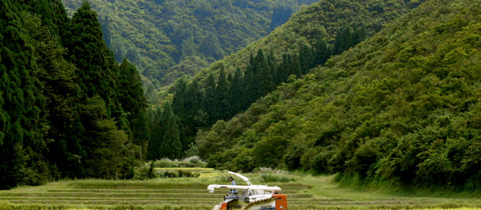 こまがた農園