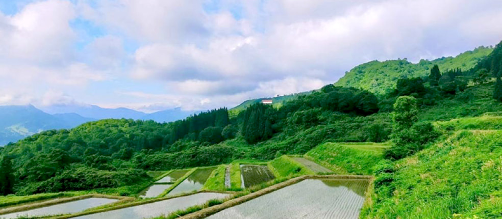 栃窪日熊農園