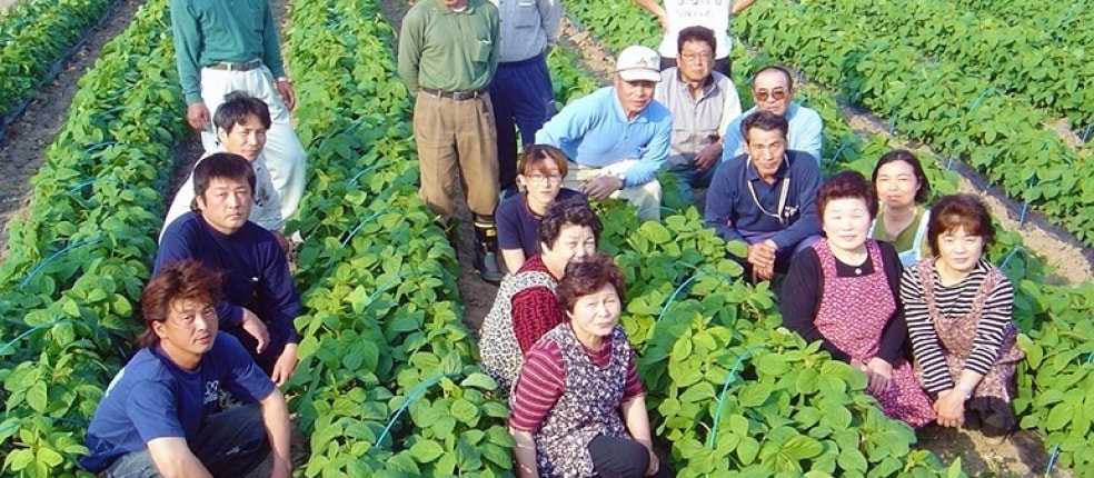 しんどおり茶豆生産組合