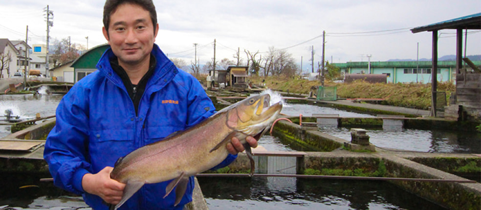 魚沼 高野養魚場