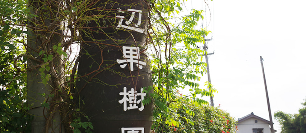 Nature Farm 渡辺果樹園