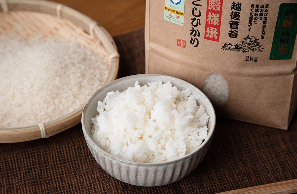 予約注文:令和7年度米 越後菅谷殿様米コシヒカリ(特別栽培・従来品種)