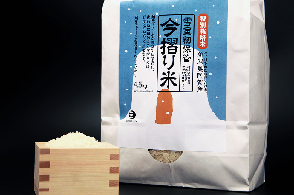 令和5年度米 奥阿賀産コシヒカリ 「今摺り米」（特別栽培米・雪室籾保管）