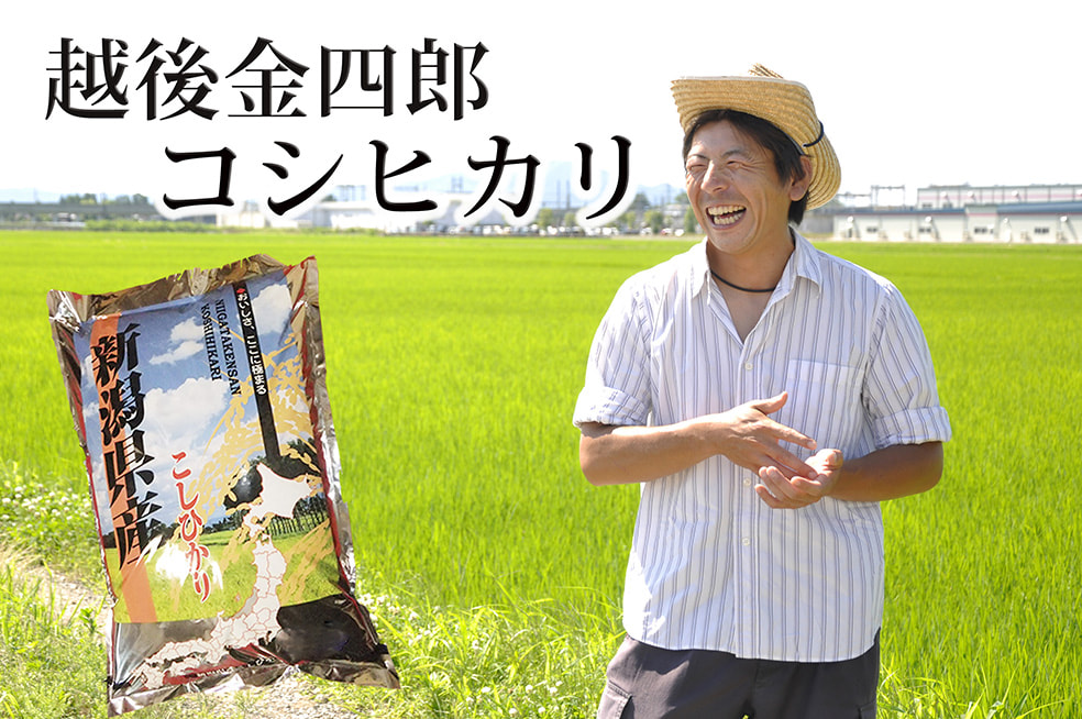 令和7年度米 新潟産 越後金四郎コシヒカリ(特別栽培米)
