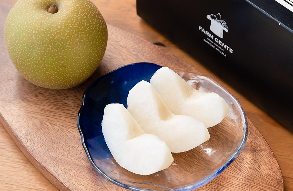 新潟直送計画 新潟県産 梨 贈答用 ファームジェンツ 新潟直送計画 新潟県産 梨 贈答用 ファームジェンツ