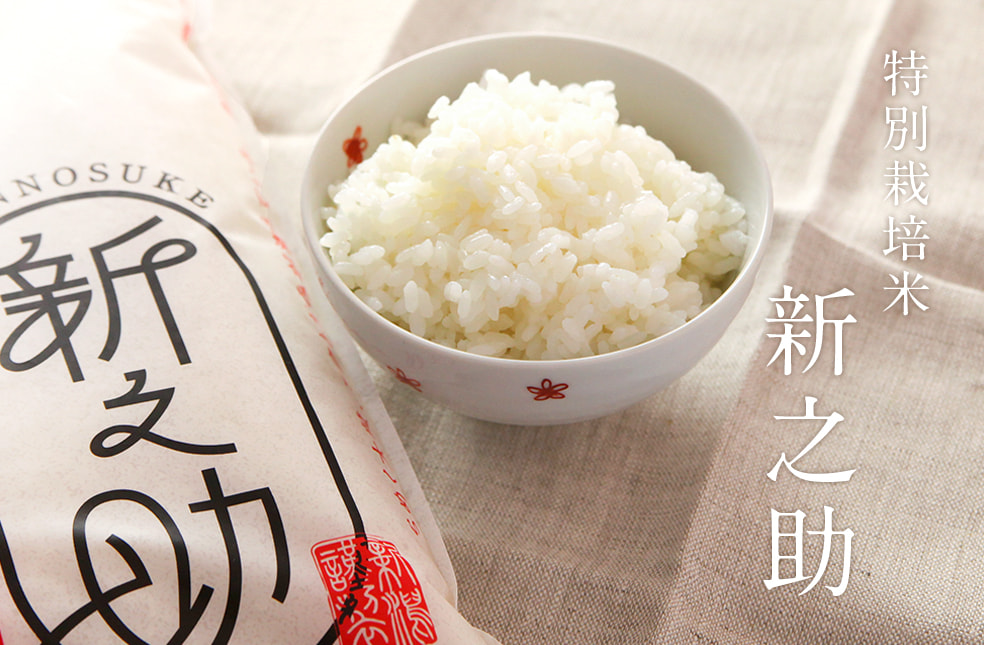 令和5年度米 新潟産新之助(特別栽培米)