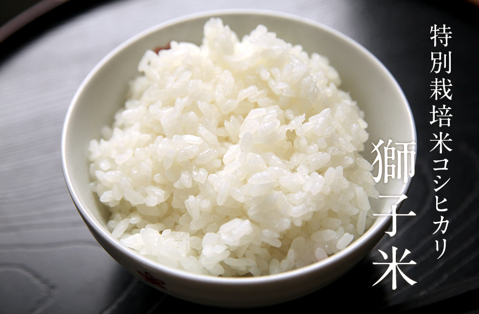 令和4年度米 見附産コシヒカリ「獅子米」（特別栽培米・従来品種）