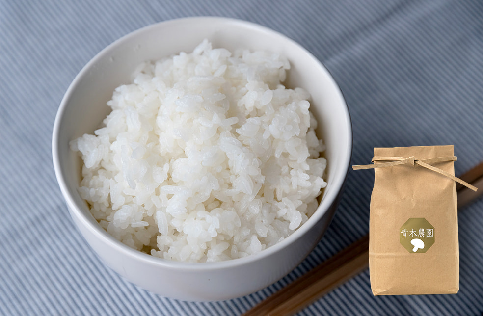 予約注文:令和7年度米 新潟県産 コシヒカリ(従来品種)