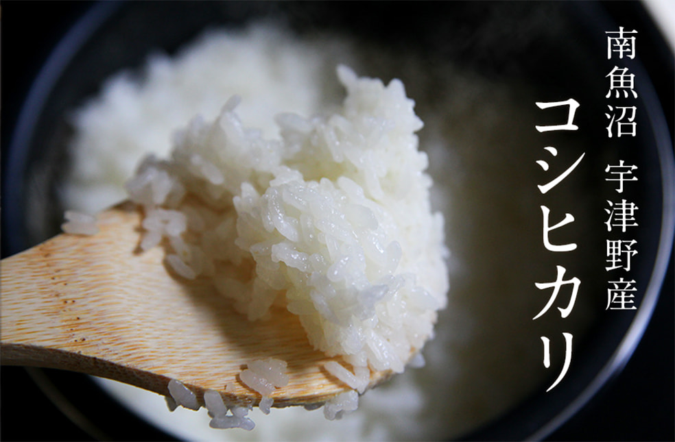 令和6年度米 南魚沼 宇津野産コシヒカリ