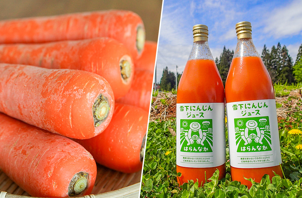 魚沼産 無農薬栽培 熟成にんじん(土付き)&雪下にんじんジュースセット