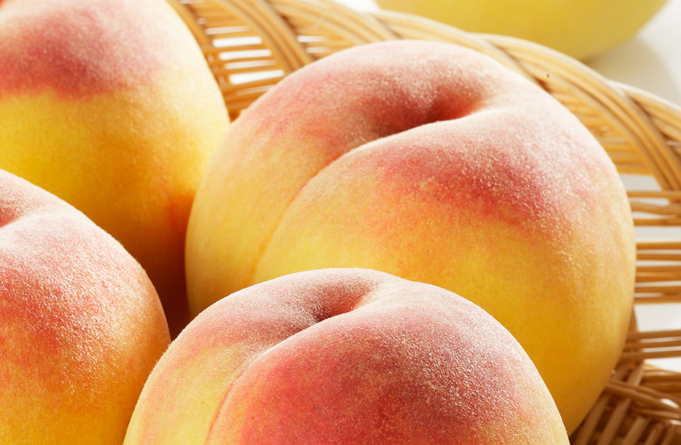 予約注文:黄桃(贈答用・家庭用)