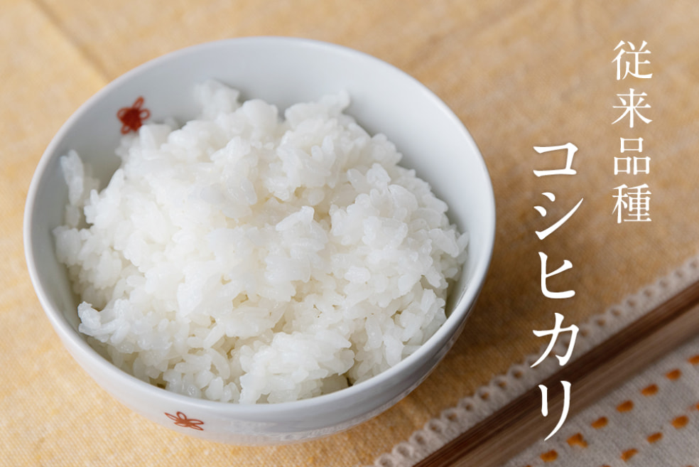 令和7年度米 南魚沼 塩沢産コシヒカリ(従来品種)