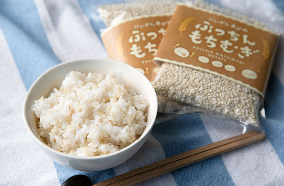 新潟産 もち麦「ぷっちんもちむぎ」(はねうまもち)