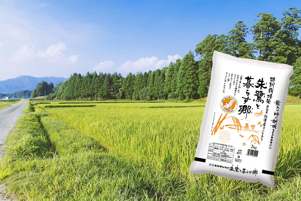 令和5年度米 佐渡産コシヒカリ「朱鷺と暮らす郷」(特別栽培米)