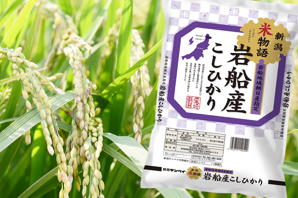 令和5年度米 岩船産コシヒカリ「新潟米物語」（旧朝日村）