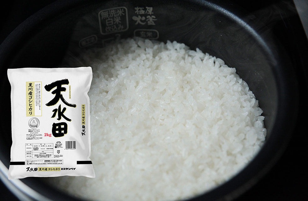 令和5年度米 新潟産コシヒカリ「天水田」(旧黒川村)