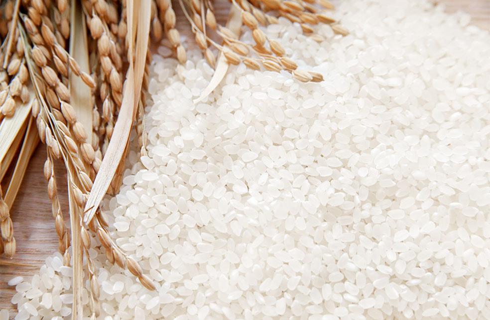 令和3年度米 自然栽培米ササニシキ（JAS有機認証米）