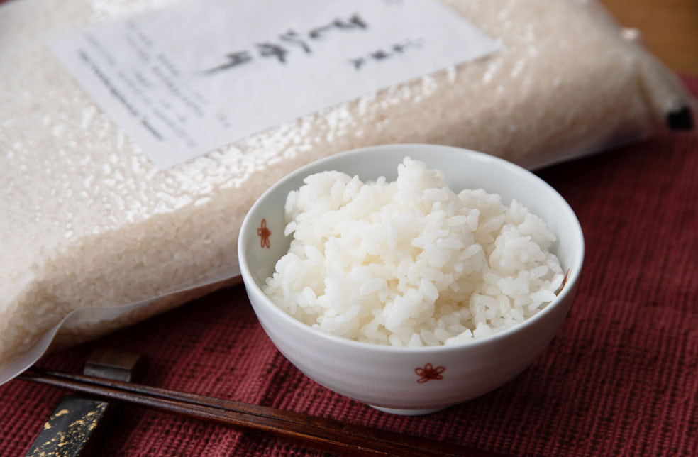 令和7年度米 新潟産コシヒカリ(従来品種)