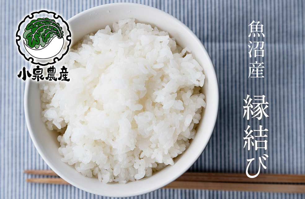 令和6年度米 魚沼産 縁結び