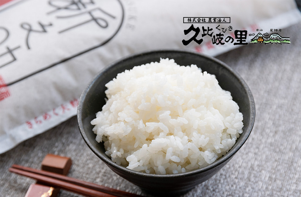 令和6年度米 新潟産 新之助