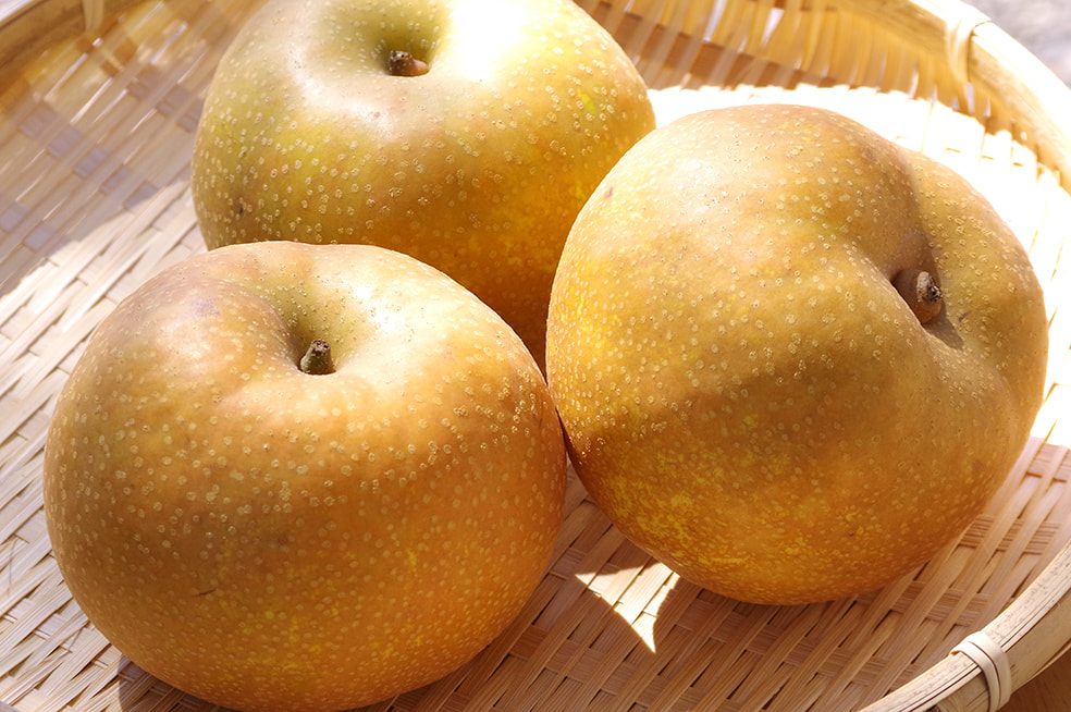 予約注文:新潟県産 梨