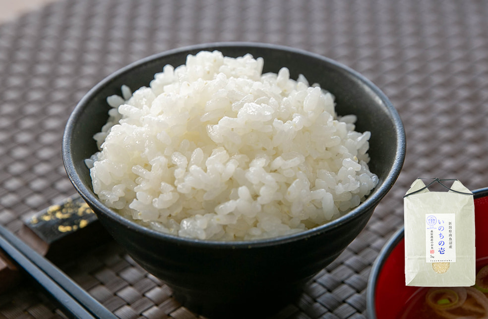 予約注文:令和7年度米 南魚沼産 桑原農産の「いのちの壱」