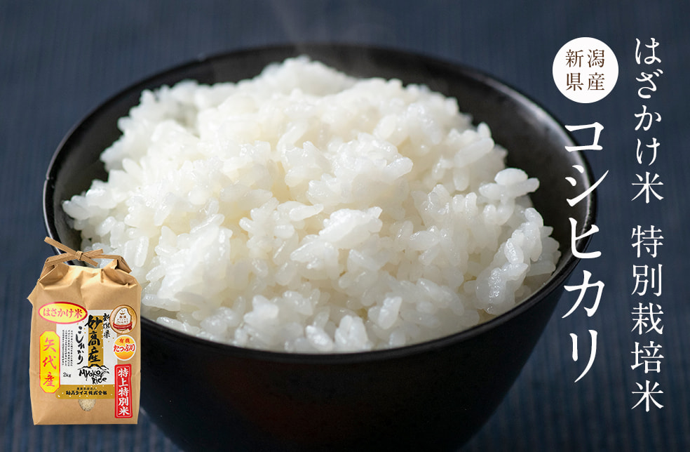 令和3年度米 妙高産 はざかけ米 特上特別米コシヒカリ（特別栽培米）