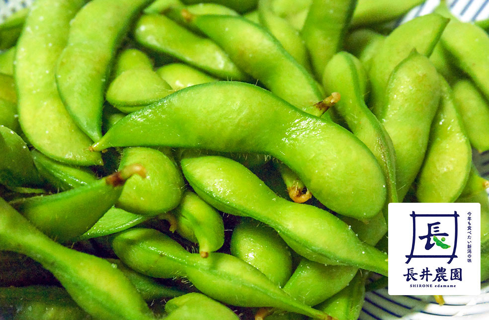 予約注文:新潟産枝豆・茶豆