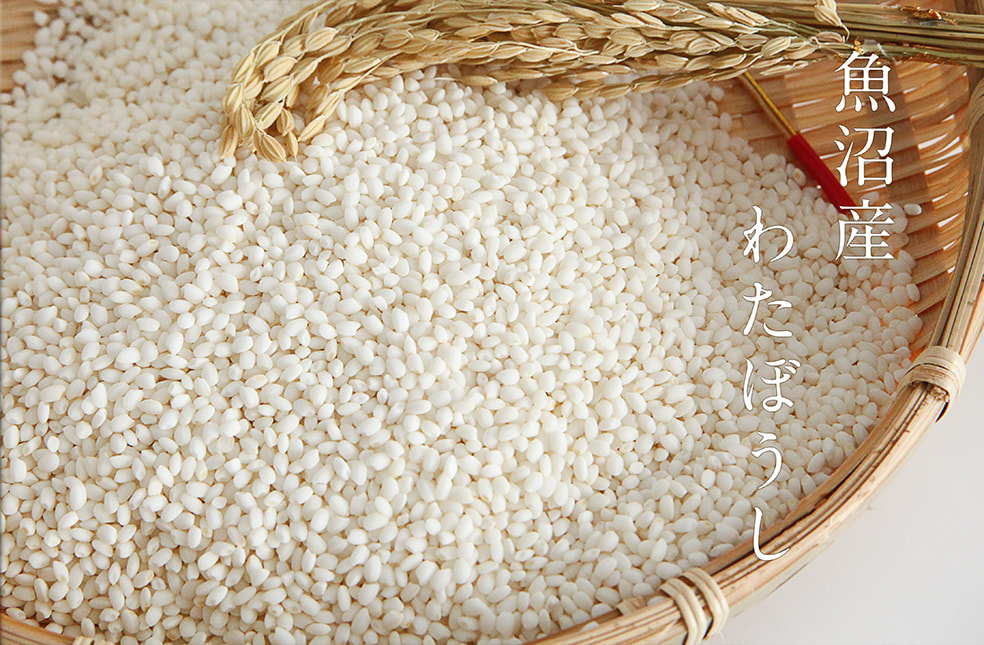 令和6年度米 魚沼産わたぼうし(もち米)