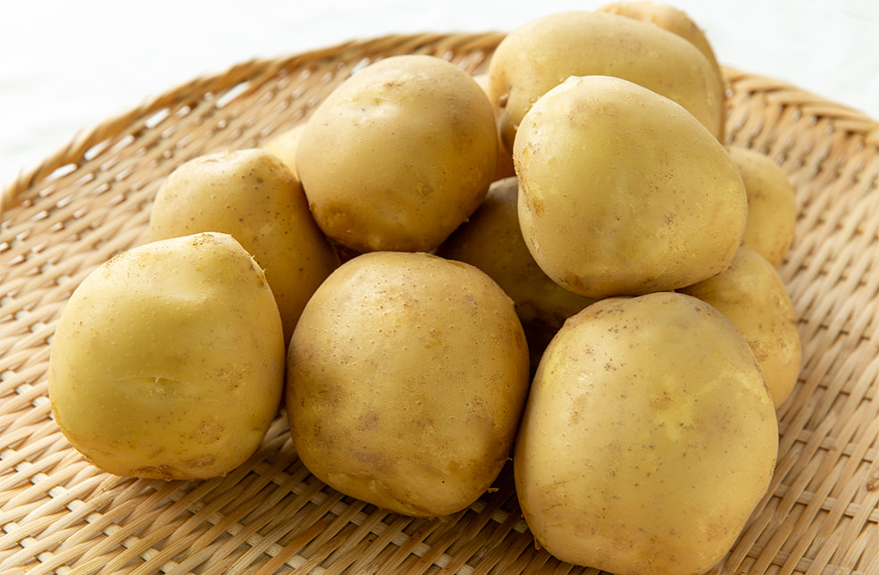 新潟県産 じゃがいも