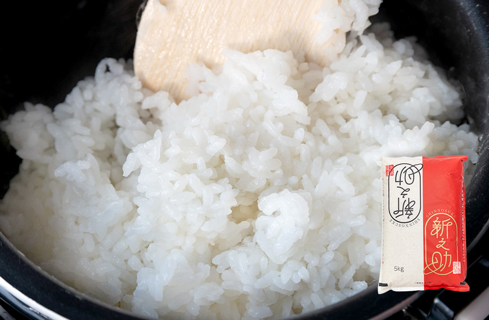 令和5年度米 炊き上がりが楽しみになる新之助