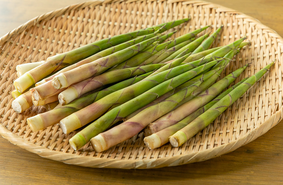 新潟県産 根曲がり竹