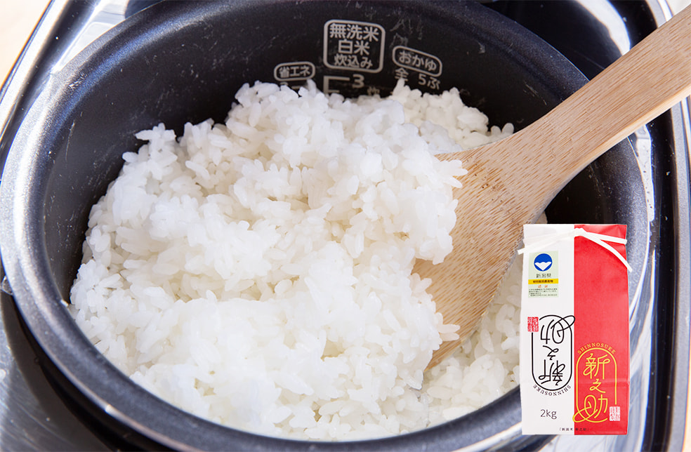 令和7年度米 新潟産 新之助(特別栽培米)