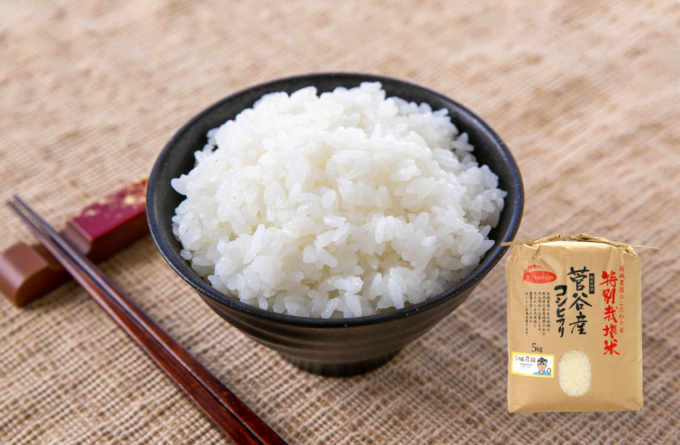 令和4年度米 新潟県産コシヒカリ「菅谷米Premium」（特別栽培米）