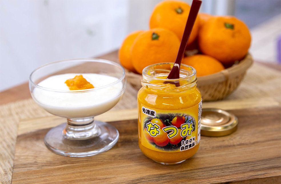 みかんピューレ「なつみ」