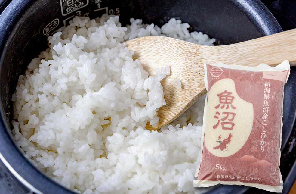 令和7年度米 魚沼産コシヒカリ